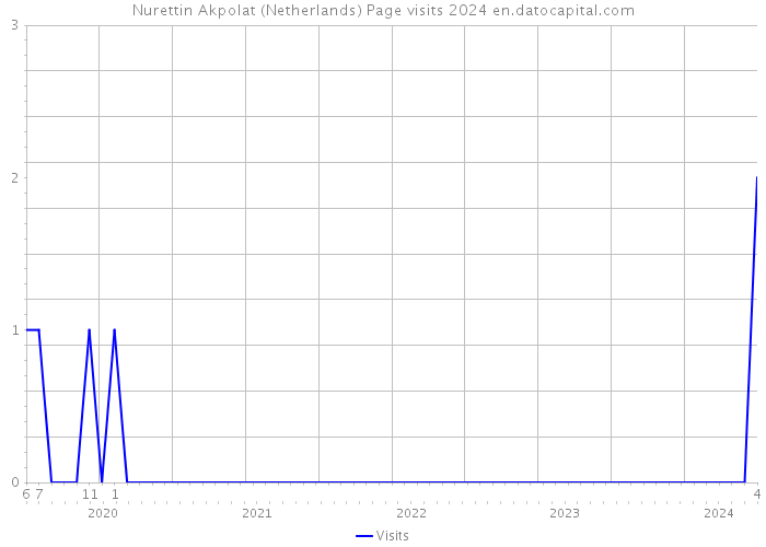 Nurettin Akpolat (Netherlands) Page visits 2024 