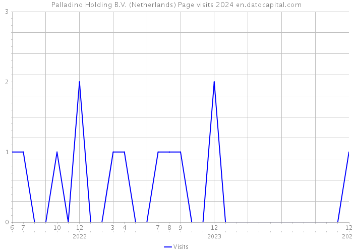 Palladino Holding B.V. (Netherlands) Page visits 2024 