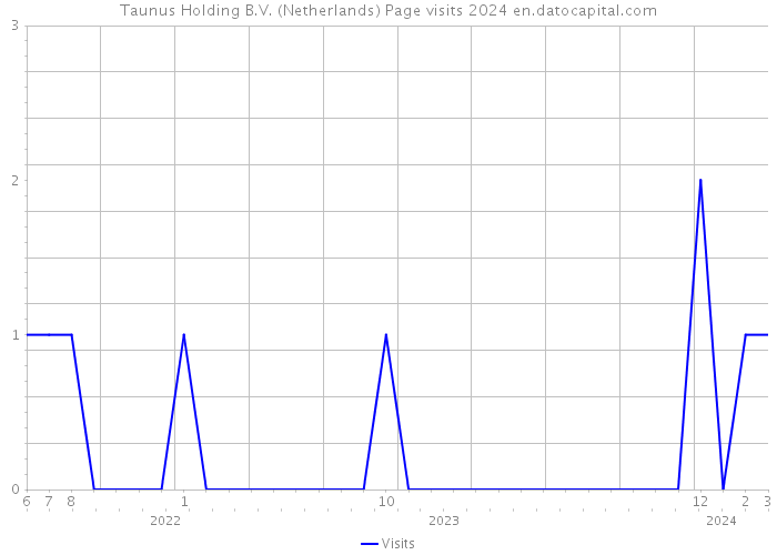 Taunus Holding B.V. (Netherlands) Page visits 2024 