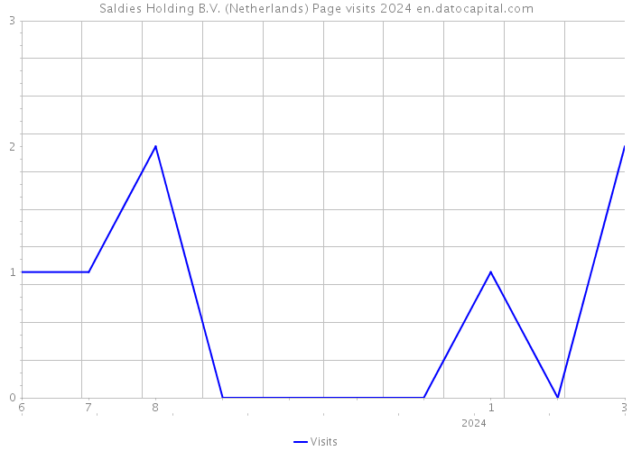 Saldies Holding B.V. (Netherlands) Page visits 2024 