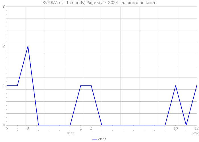 BVP B.V. (Netherlands) Page visits 2024 