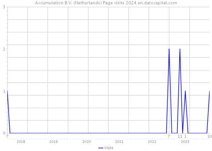 Accumulation B.V. (Netherlands) Page visits 2024 