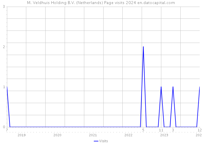 M. Veldhuis Holding B.V. (Netherlands) Page visits 2024 