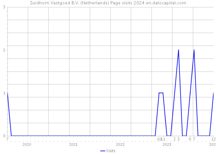 Zuidhorn Vastgoed B.V. (Netherlands) Page visits 2024 