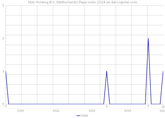 Hub Holding B.V. (Netherlands) Page visits 2024 