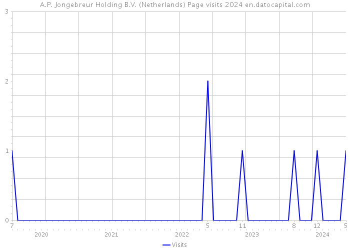 A.P. Jongebreur Holding B.V. (Netherlands) Page visits 2024 