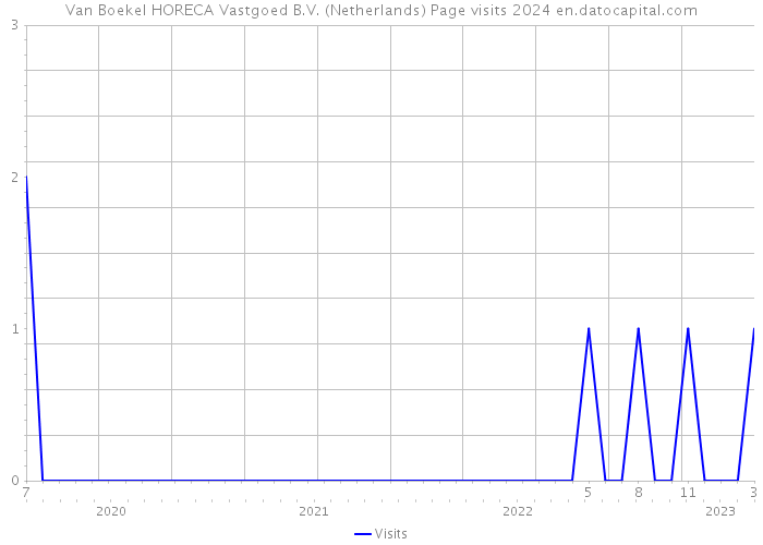 Van Boekel HORECA Vastgoed B.V. (Netherlands) Page visits 2024 