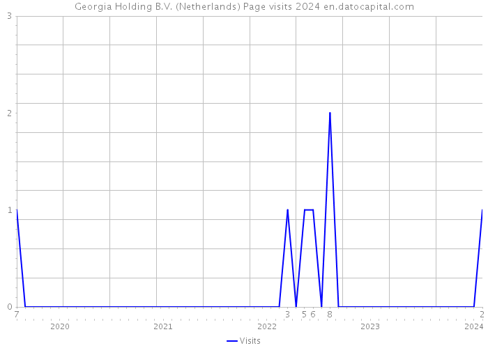 Georgia Holding B.V. (Netherlands) Page visits 2024 
