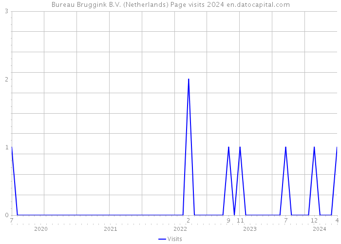 Bureau Bruggink B.V. (Netherlands) Page visits 2024 