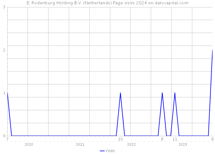 E. Rodenburg Holding B.V. (Netherlands) Page visits 2024 