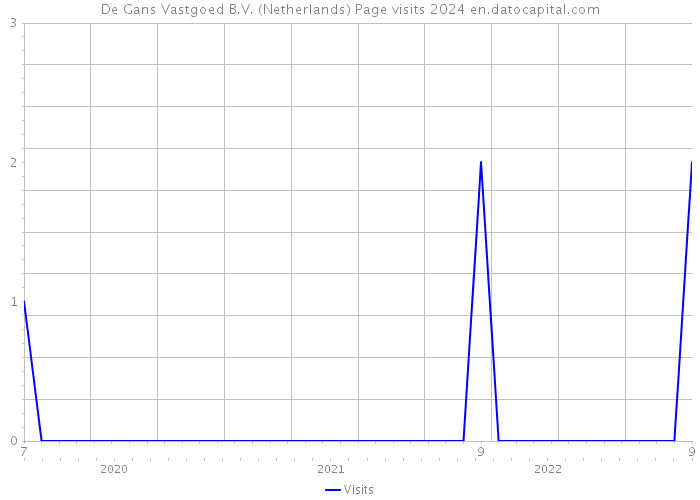 De Gans Vastgoed B.V. (Netherlands) Page visits 2024 