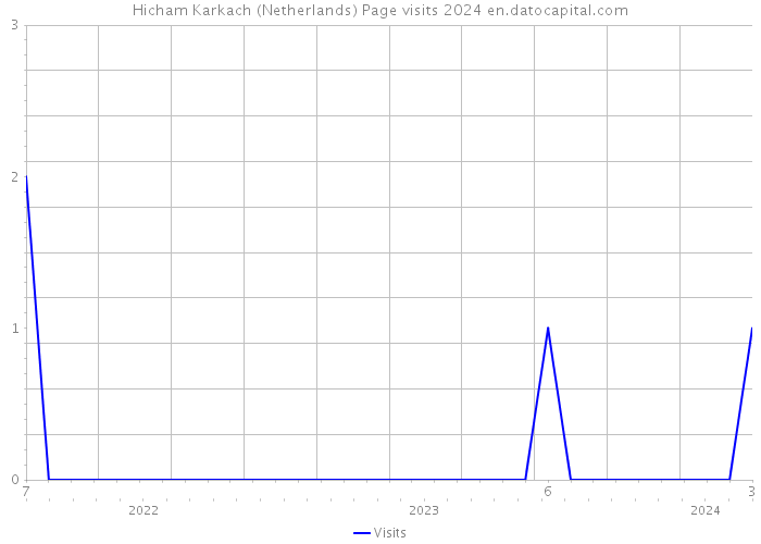 Hicham Karkach (Netherlands) Page visits 2024 