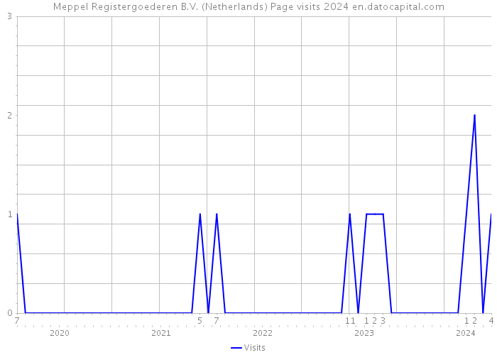 Meppel Registergoederen B.V. (Netherlands) Page visits 2024 