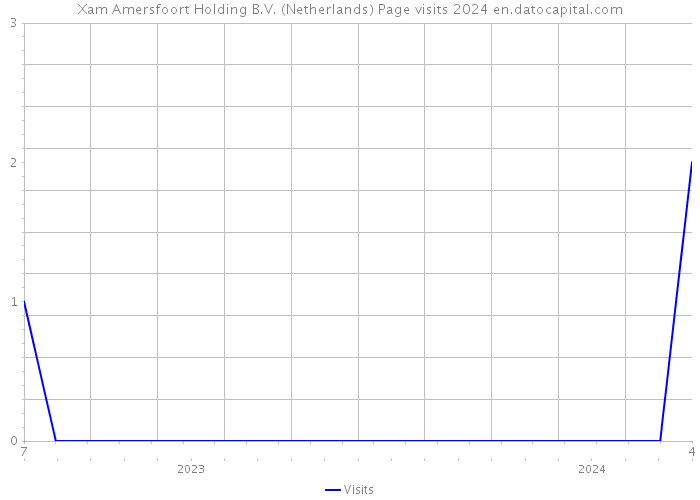 Xam Amersfoort Holding B.V. (Netherlands) Page visits 2024 