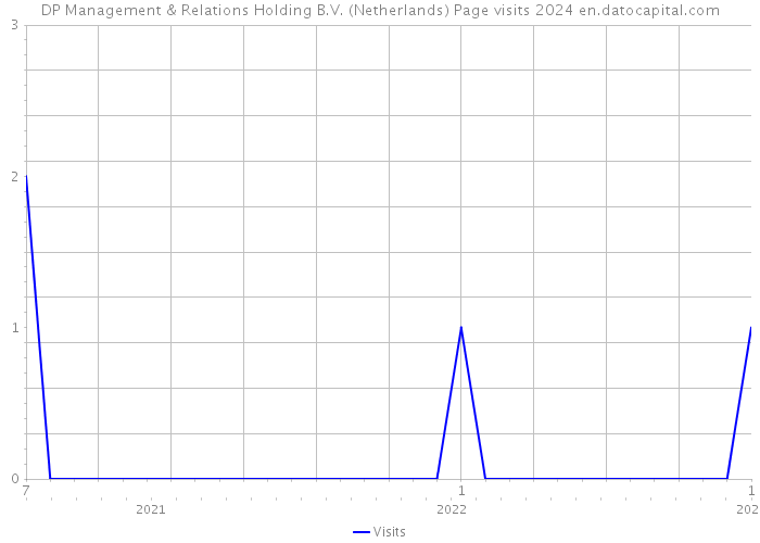 DP Management & Relations Holding B.V. (Netherlands) Page visits 2024 