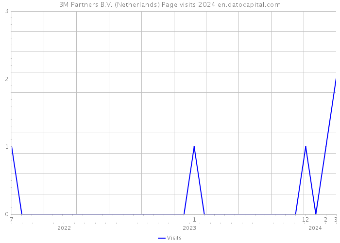 BM Partners B.V. (Netherlands) Page visits 2024 