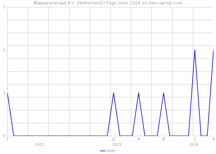 Blaauwendraad B.V. (Netherlands) Page visits 2024 