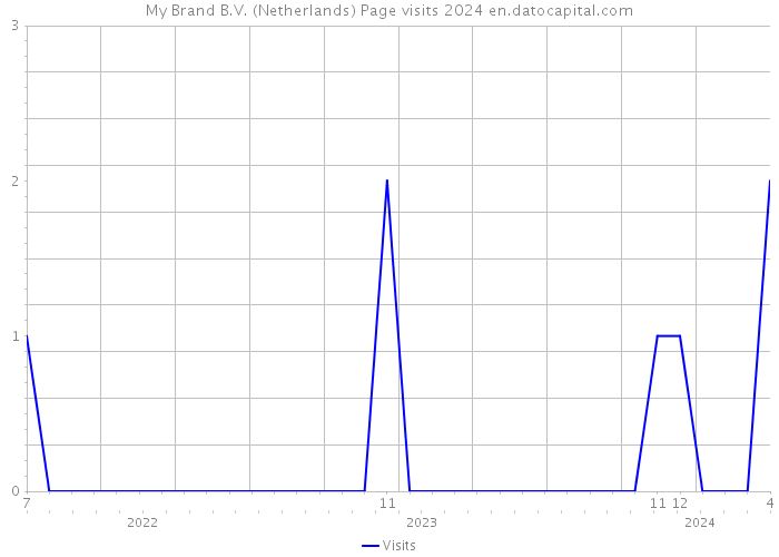 My Brand B.V. (Netherlands) Page visits 2024 