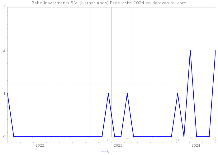 Rabo Investments B.V. (Netherlands) Page visits 2024 