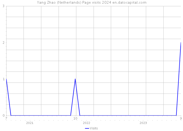 Yang Zhao (Netherlands) Page visits 2024 