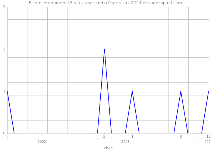 Bicom International B.V. (Netherlands) Page visits 2024 