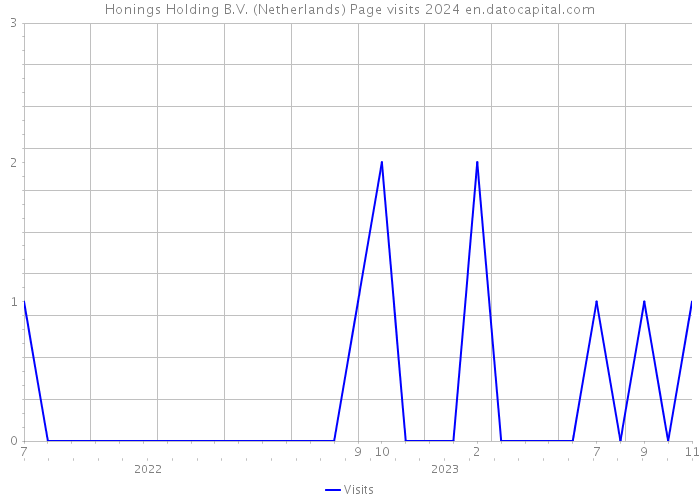 Honings Holding B.V. (Netherlands) Page visits 2024 