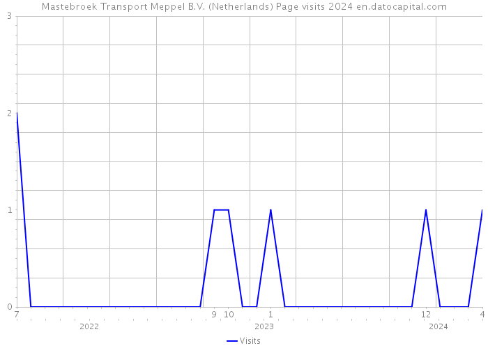 Mastebroek Transport Meppel B.V. (Netherlands) Page visits 2024 