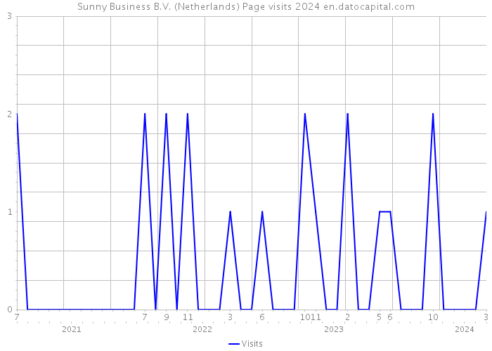 Sunny Business B.V. (Netherlands) Page visits 2024 