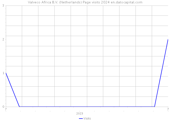 Valveco Africa B.V. (Netherlands) Page visits 2024 