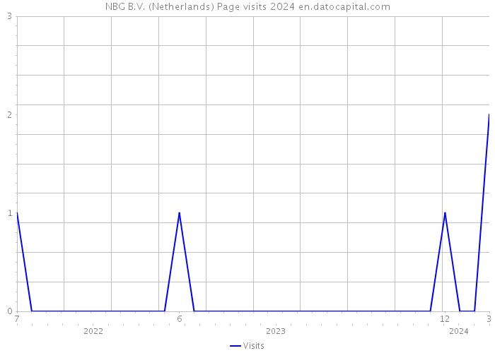 NBG B.V. (Netherlands) Page visits 2024 