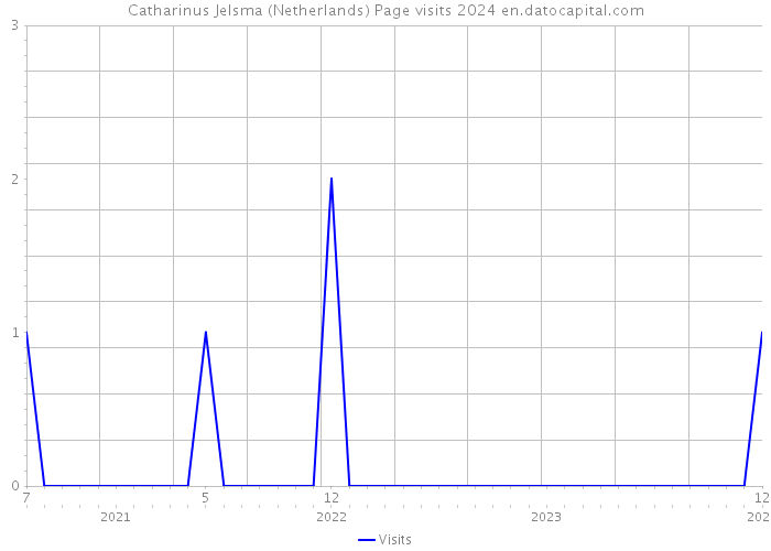 Catharinus Jelsma (Netherlands) Page visits 2024 