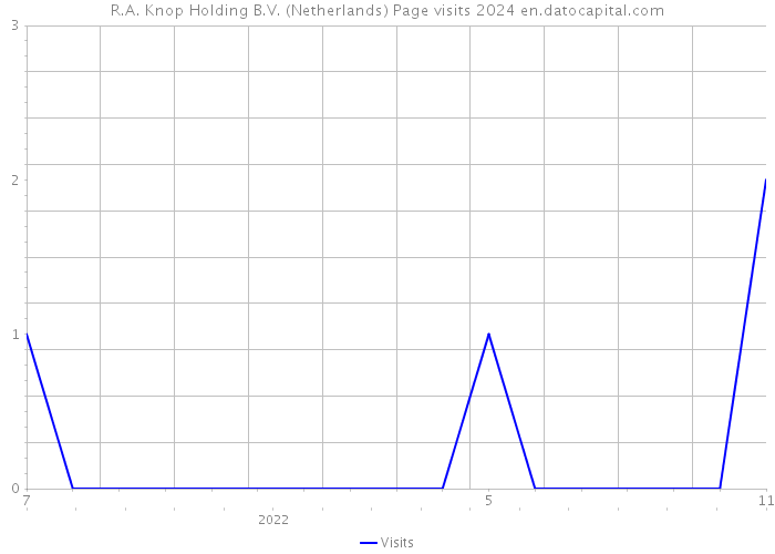 R.A. Knop Holding B.V. (Netherlands) Page visits 2024 