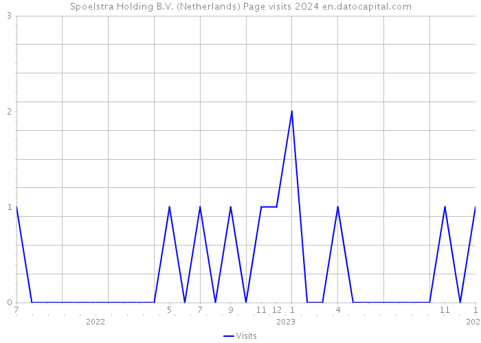 Spoelstra Holding B.V. (Netherlands) Page visits 2024 