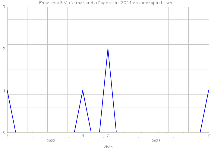 Engelsma B.V. (Netherlands) Page visits 2024 