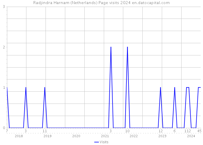 Radjindra Harnam (Netherlands) Page visits 2024 
