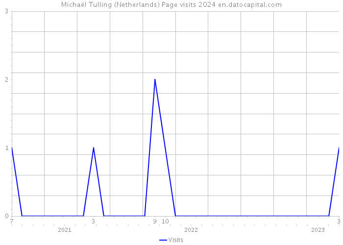 Michaël Tulling (Netherlands) Page visits 2024 