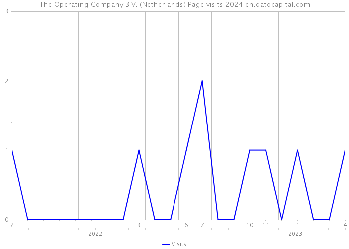 The Operating Company B.V. (Netherlands) Page visits 2024 