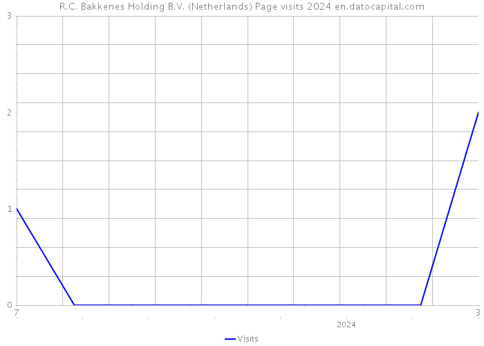 R.C. Bakkenes Holding B.V. (Netherlands) Page visits 2024 