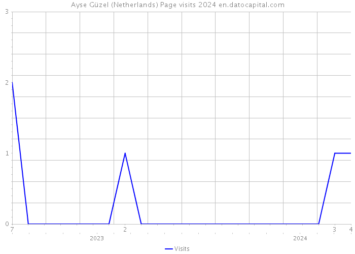 Ayse Güzel (Netherlands) Page visits 2024 