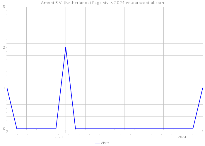 Amphi B.V. (Netherlands) Page visits 2024 