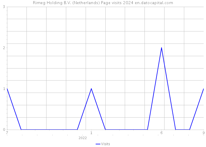 Rimeg Holding B.V. (Netherlands) Page visits 2024 