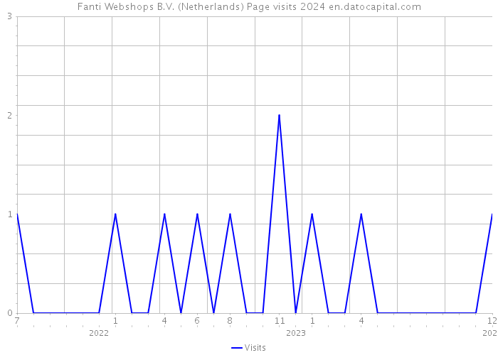 Fanti Webshops B.V. (Netherlands) Page visits 2024 