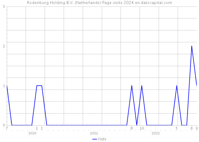 Rodenburg Holding B.V. (Netherlands) Page visits 2024 