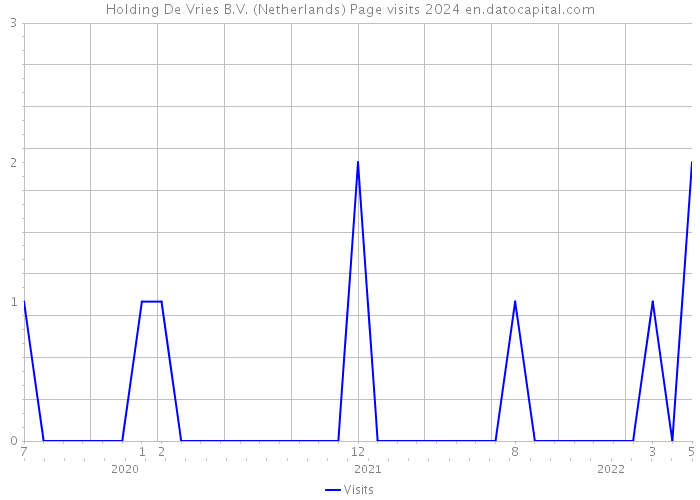 Holding De Vries B.V. (Netherlands) Page visits 2024 