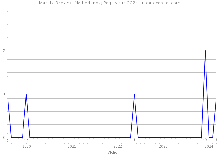 Marnix Reesink (Netherlands) Page visits 2024 