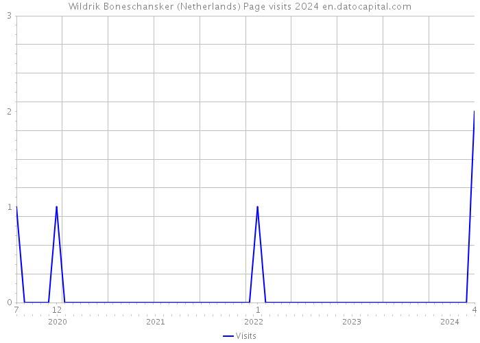 Wildrik Boneschansker (Netherlands) Page visits 2024 