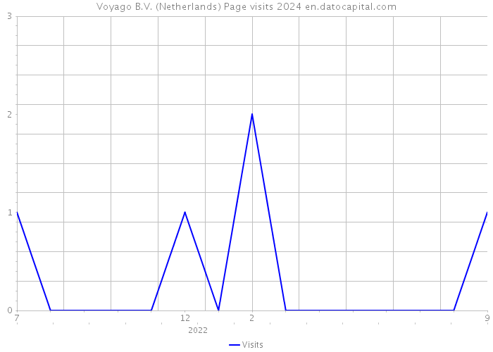 Voyago B.V. (Netherlands) Page visits 2024 