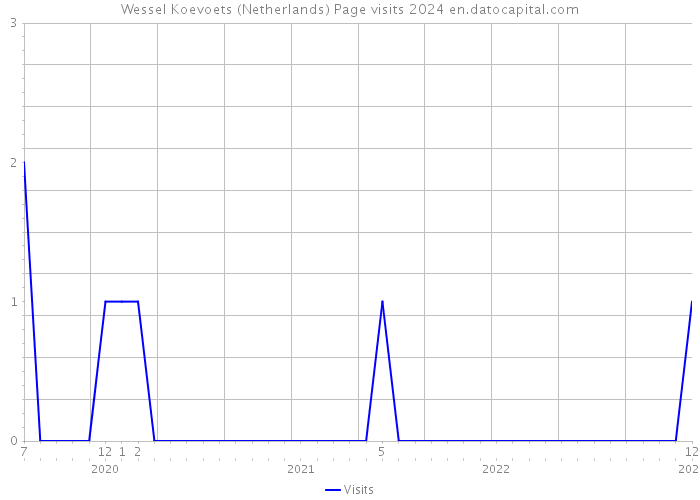 Wessel Koevoets (Netherlands) Page visits 2024 