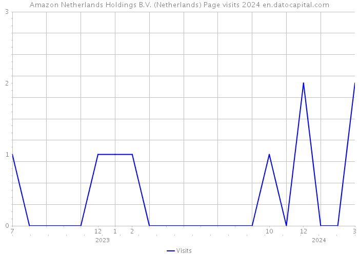 Amazon Netherlands Holdings B.V. (Netherlands) Page visits 2024 