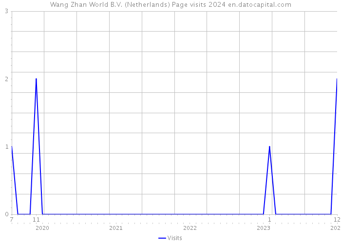Wang Zhan World B.V. (Netherlands) Page visits 2024 
